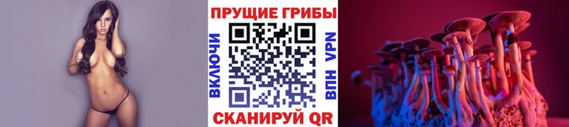 наркотики  Трубчевск  Псилоцибиновые грибы GOLDEN TEACHER 