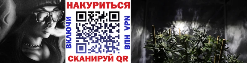 Каннабис план  Трубчевск 